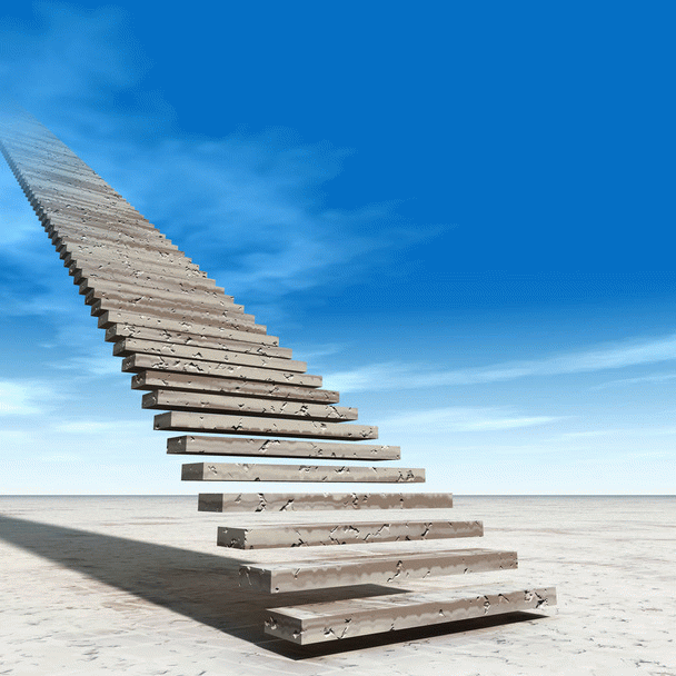 16 نکته برای انتخاب بهترین آتلیه عکاسی حیوانات خانگی