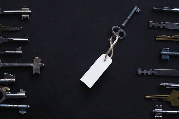 16 نکته درباره گربه اسفینکس (ابوالهول): موجودی چروکیده و بی مو!